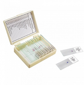 картинка Микромед 22750. Набор препаратов "Анатомия и физиология" (16 обр. для школы) являющийся официальным дистрибьютором в России 