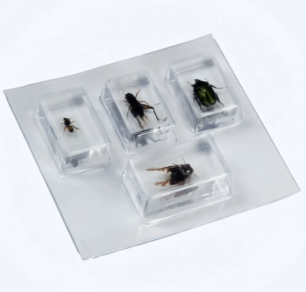 Микропрепараты для микроскопов