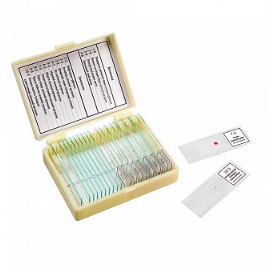 картинка Микромед 22752. Набор препаратов "Ботаника и зоология" (14 обр.) являющийся официальным дистрибьютором в России 