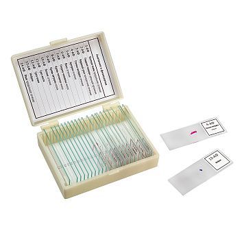 картинка Микромед 22751. Набор препаратов "Анатомия и физиология" (14 обр.) являющийся официальным дистрибьютором в России 