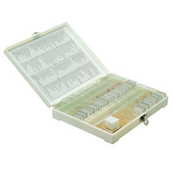 картинка Микромед 23319. Набор готовых микропрепаратов Микромед №80 являющийся официальным дистрибьютором в России 