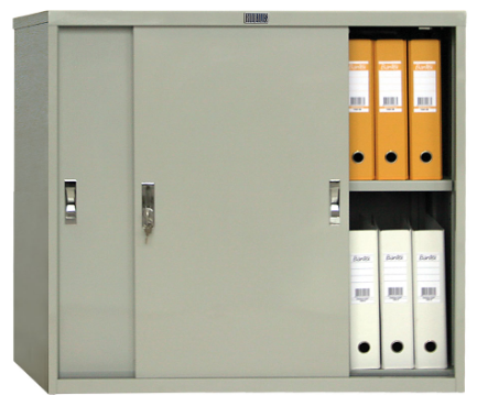 картинка ПРАКТИК AMT 0891. Шкаф-купе офисный являющийся официальным дистрибьютором в России 