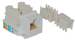 картинка CT Brand F2450-1. Розетка 8P8C в коробку белая являющийся официальным дистрибьютором в России 