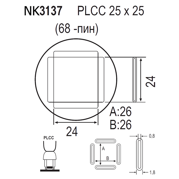 NK3137_.jpg